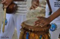/album/galeria-de-fotos-chacrinha/dsc0376-copia-jpg/